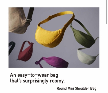 The Uniqlo Bag